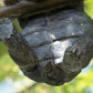 Hanging Tortoise Ornament Garden Tree Decoration