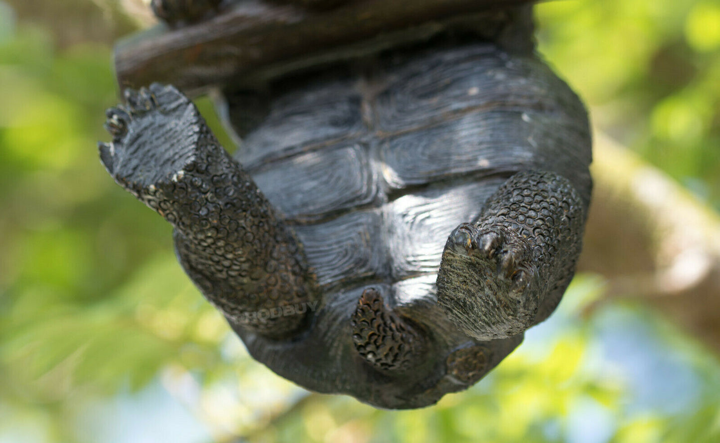 Hanging Tortoise Ornament Garden Tree Decoration