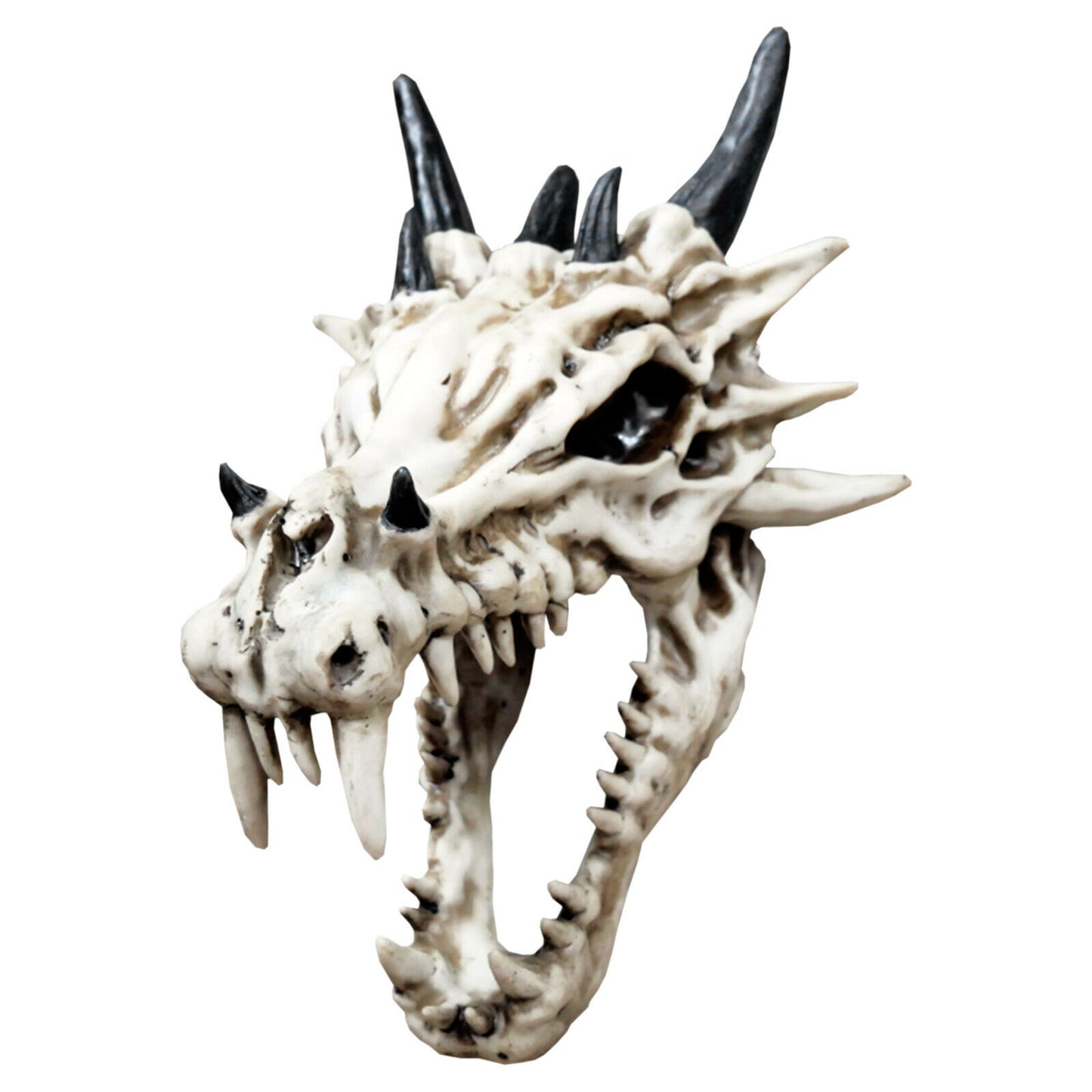 Dragon Skull Ornament 37cm Tall Wall Mounted Head