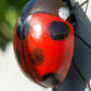 Metal Ladybird Ornament Small 12cm