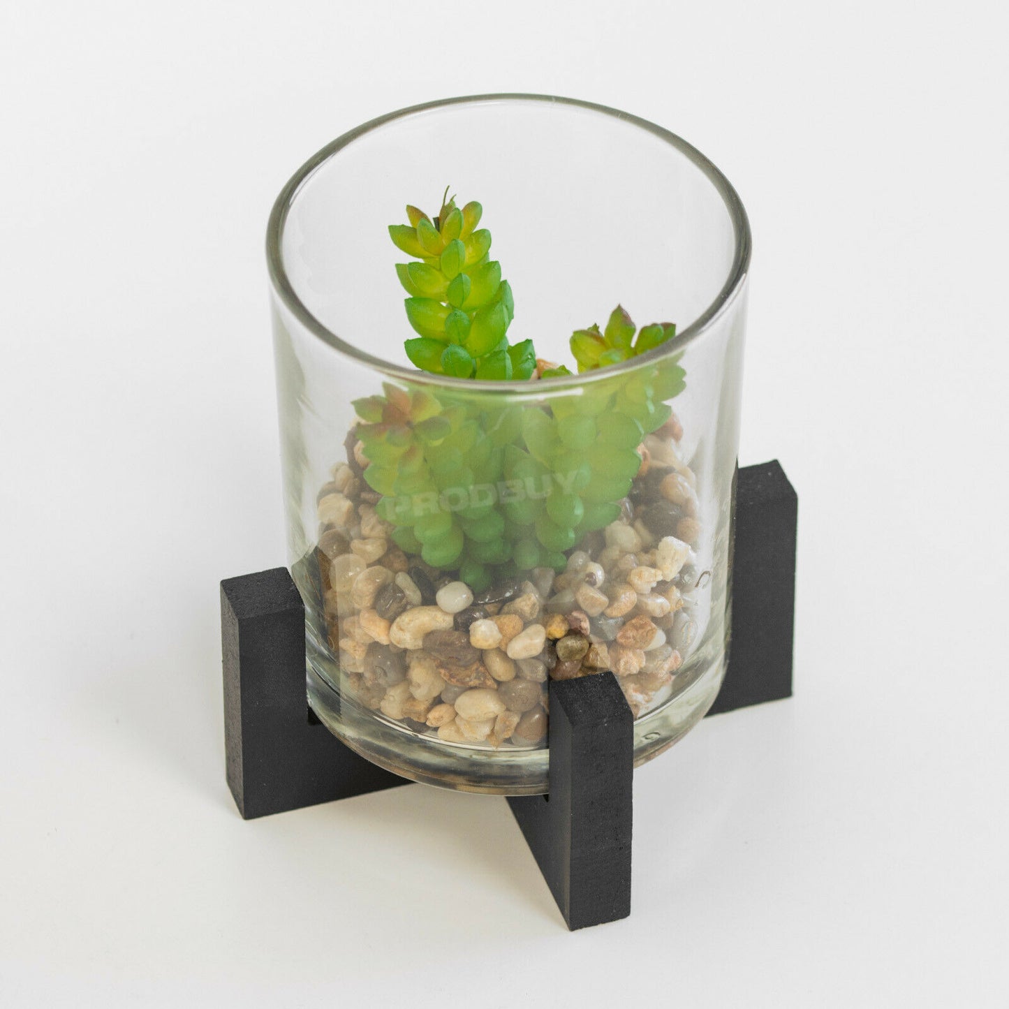 Small Artificial Cactus Succulent In Stand & Glass Pot