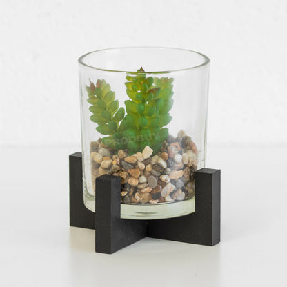 Small Artificial Cactus Succulent In Stand & Glass Pot