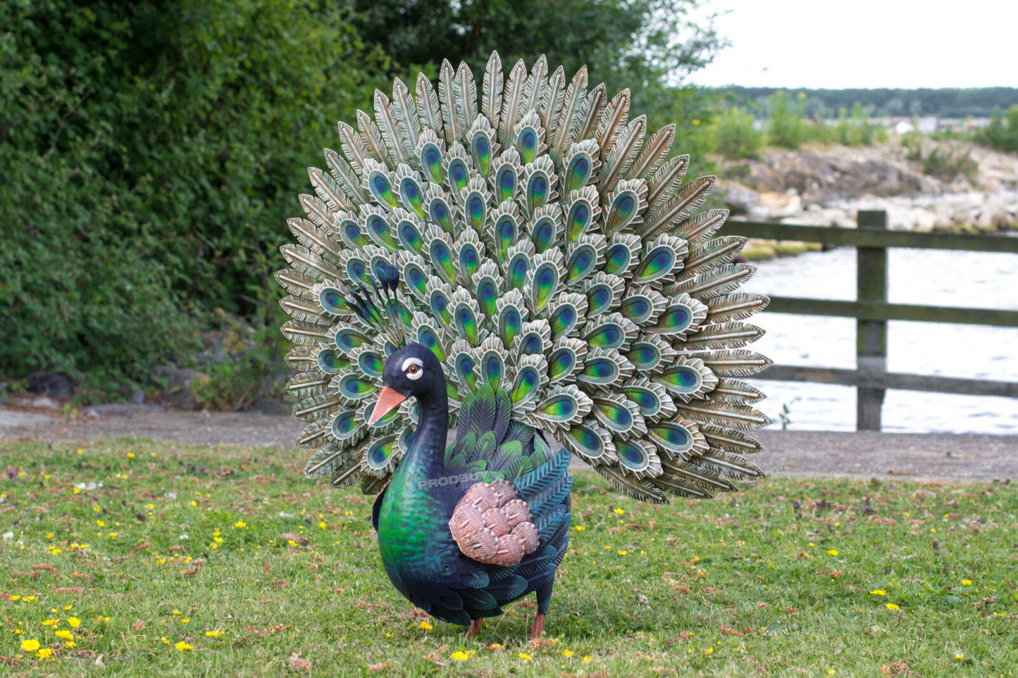 Large 65cm Exotic Peacock Metal Garden Ornament