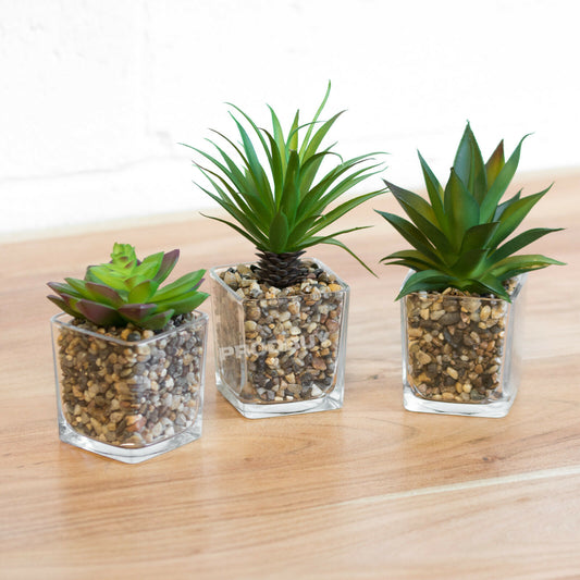 Set of 3 Artificial Succulents in Glass Jars