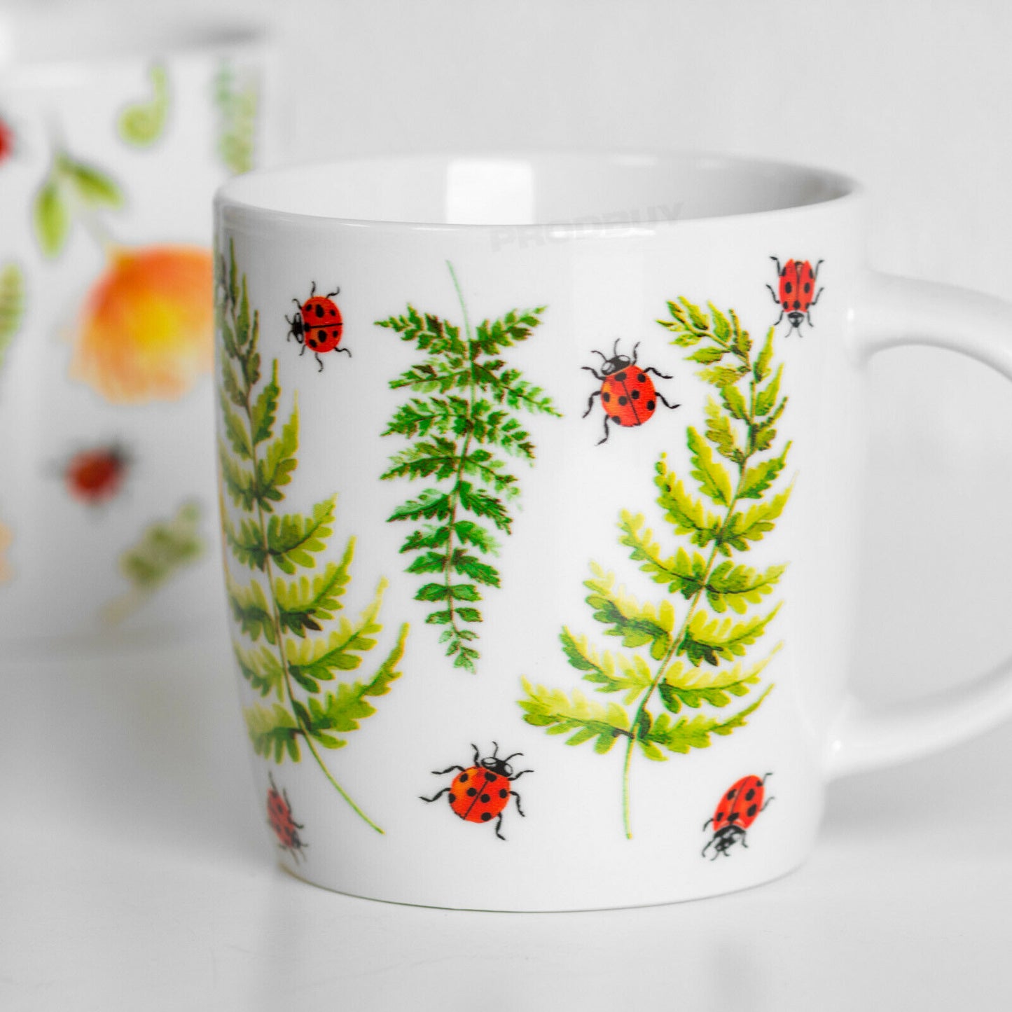 Set of 2 Floral Ladybird Coffee Mugs