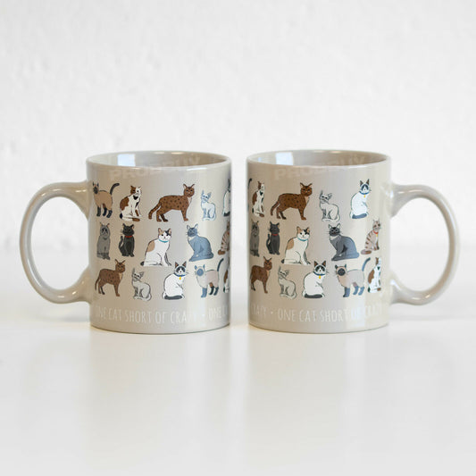 Set of 2 "One Cat Short of Crazy" Stoneware Coffee Mugs