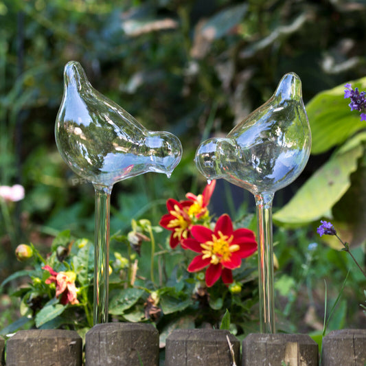 Set of 4 Glass Bird Watering Sticks House Plant Feeder Drip Spikes
