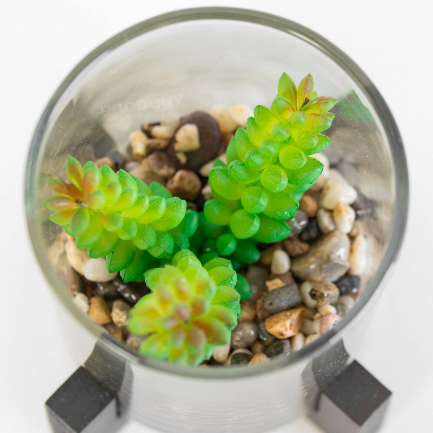 Small Artificial Cactus Succulent In Stand & Glass Pot