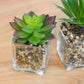 Set of 3 Artificial Succulents in Glass Jars