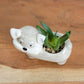 Miniature 8cm Artificial Succulent House Plant Schnauzer Dog Ornament