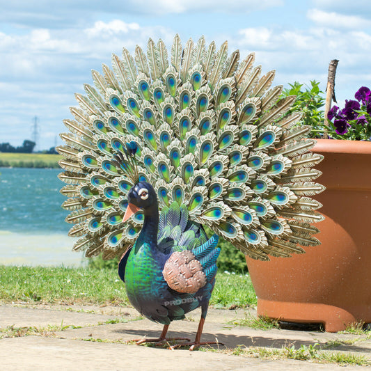 Large 65cm Exotic Peacock Metal Garden Ornament