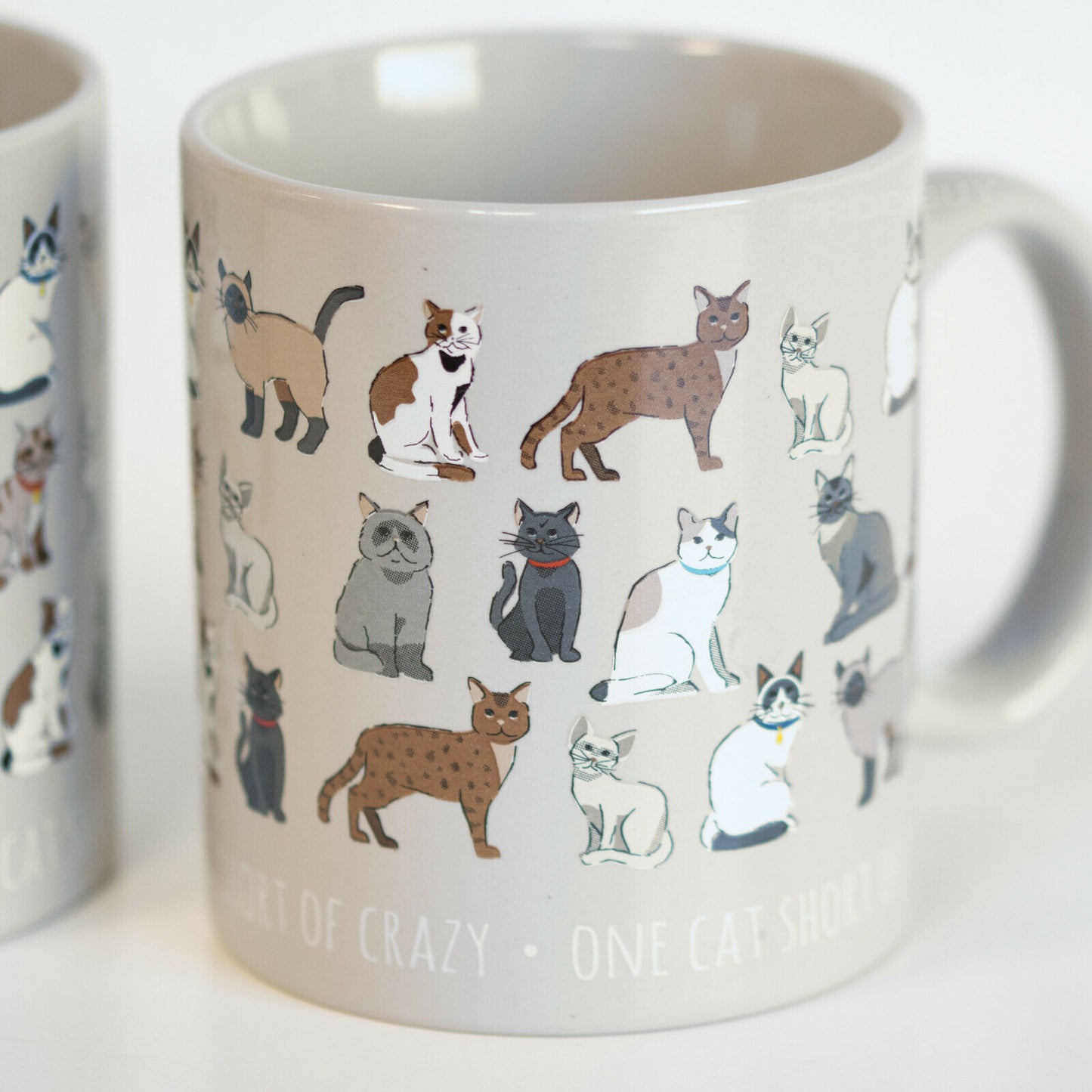 Set of 2 "One Cat Short of Crazy" Stoneware Coffee Mugs