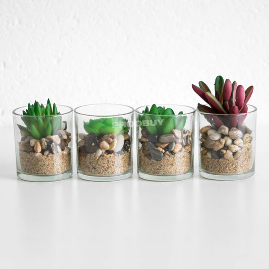 Set of 4 Small Artificial Succulents In Clear Pots