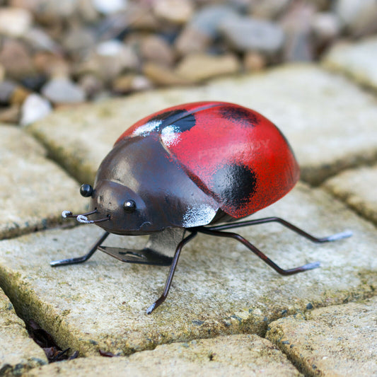 Metal Ladybird Ornament Small 12cm
