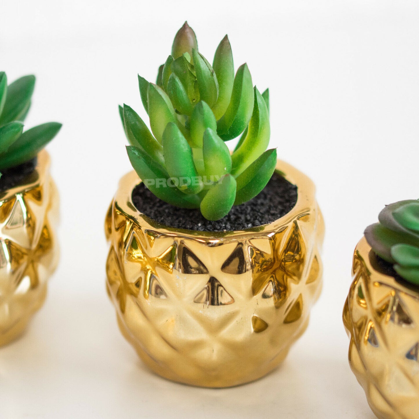 Set of 4 Artificial Succulents In Gold Pots