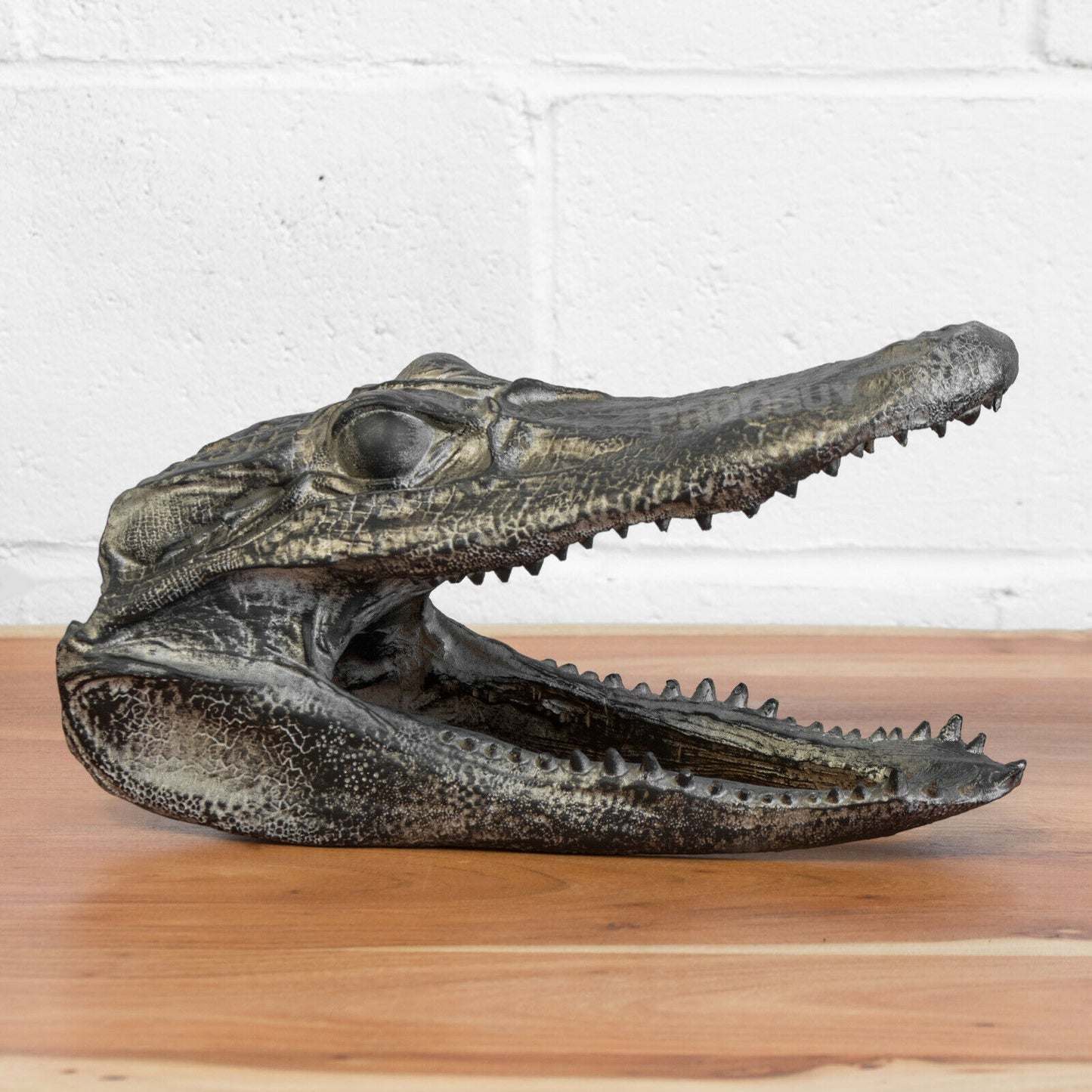 Crocodile Head Decorative Ornament 39cm Long