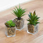 Set of 3 Artificial Succulents in Glass Jars