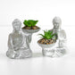 Grey Small Buddha Figure with Succulent