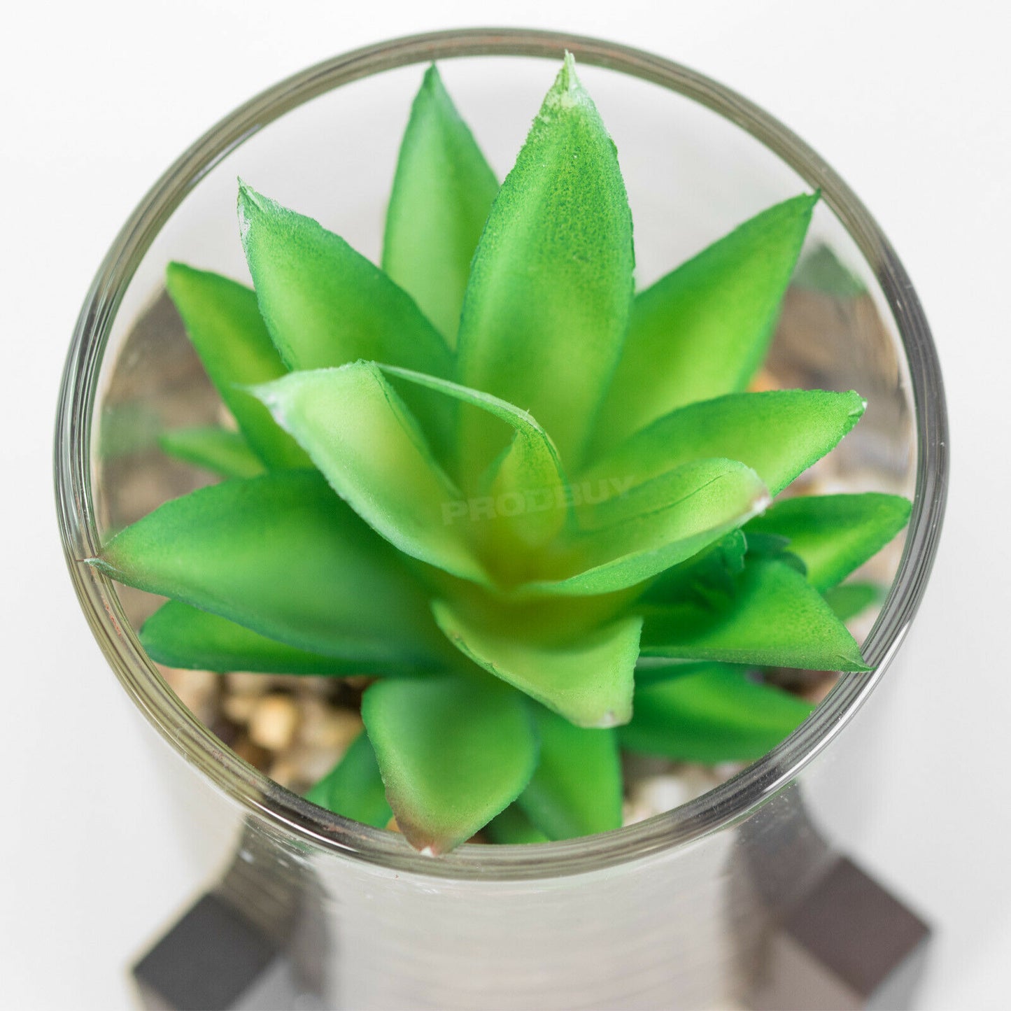 Small Artificial Cactus Succulent In Stand & Glass Pot