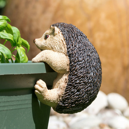 Hedgehog Plant Pot Hanging Animal Ornament