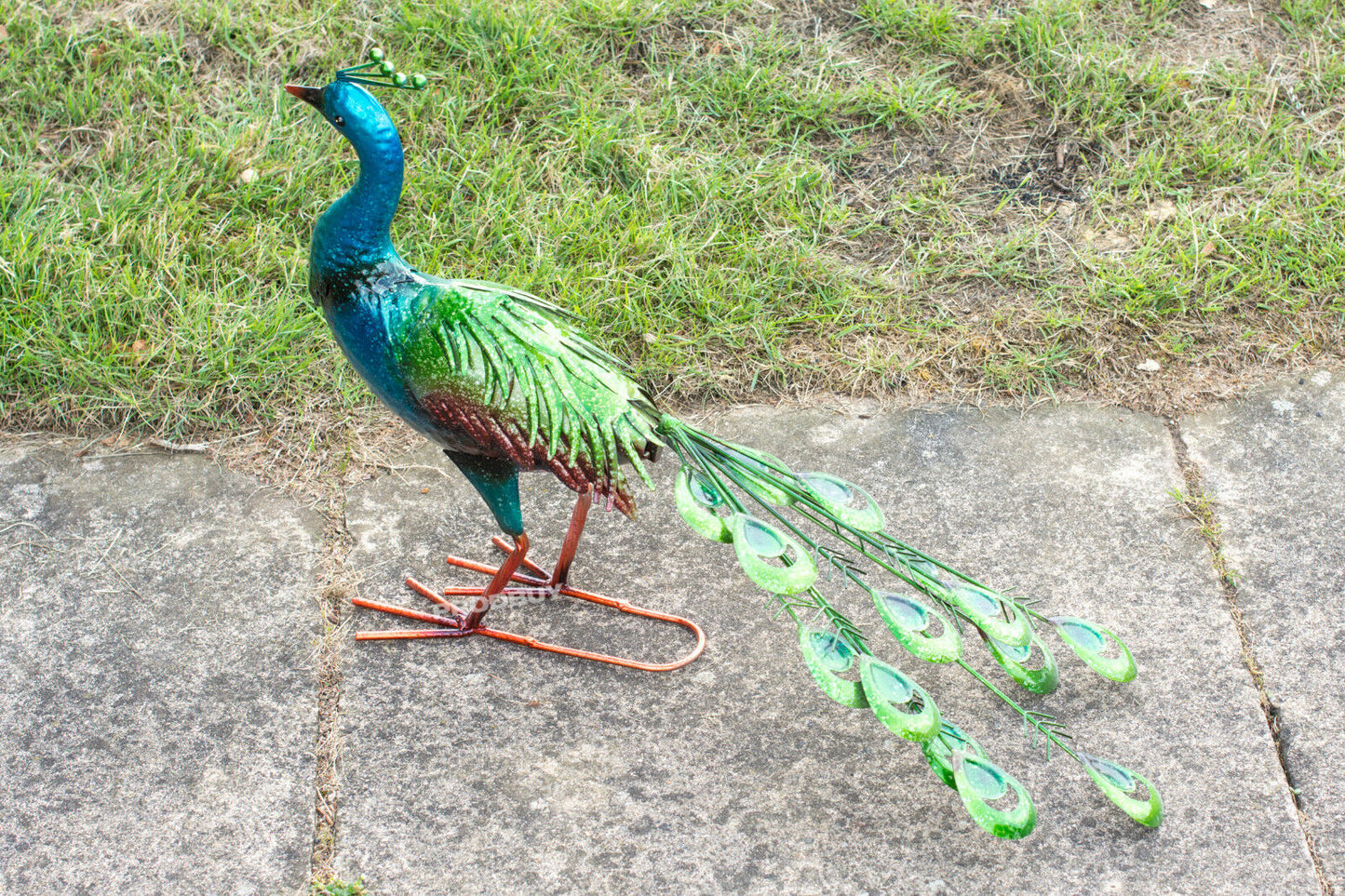 Large Exotic Peacock Metal Garden Ornament