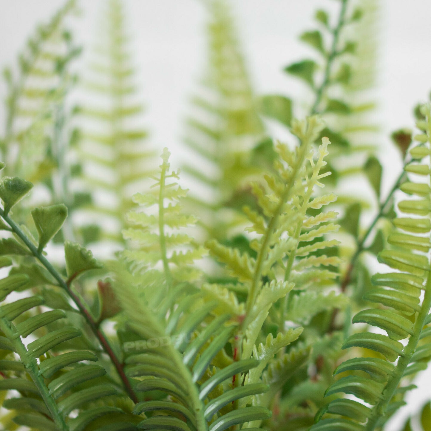 Artificial Green Fern In Wicker Pot 30cm