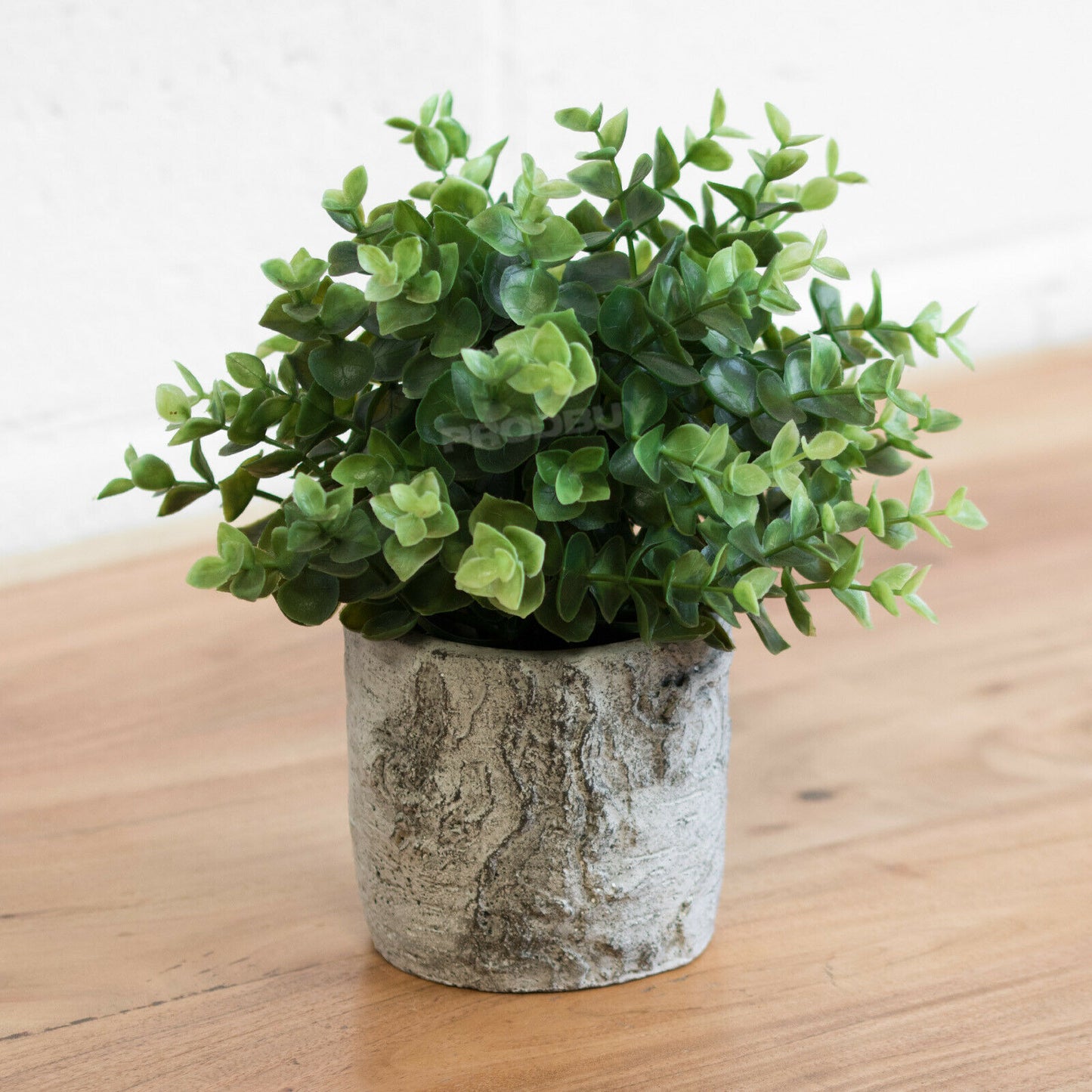 Small Ceramic Silver Birch House Plant Pot Cover