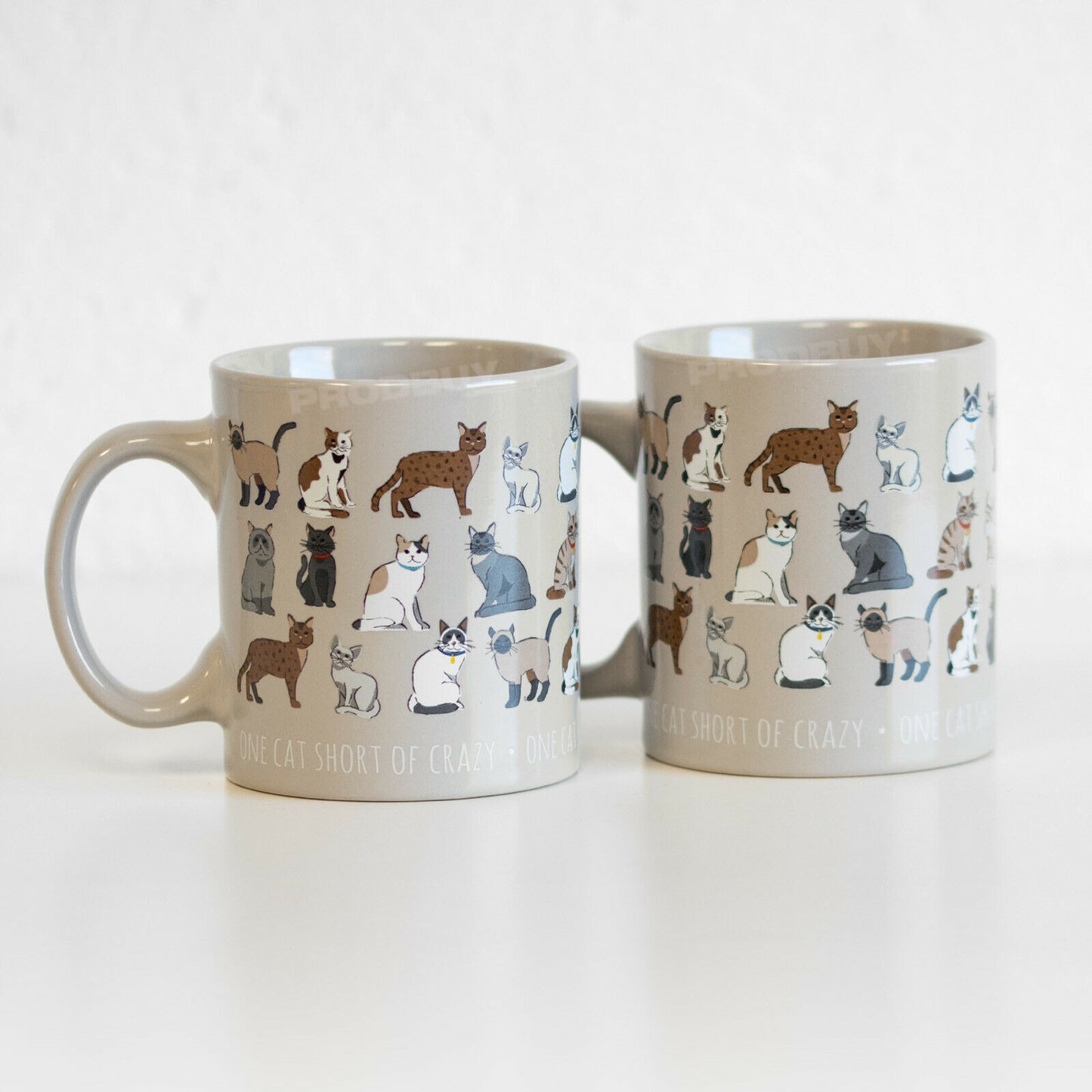 Set of 2 "One Cat Short of Crazy" Stoneware Coffee Mugs