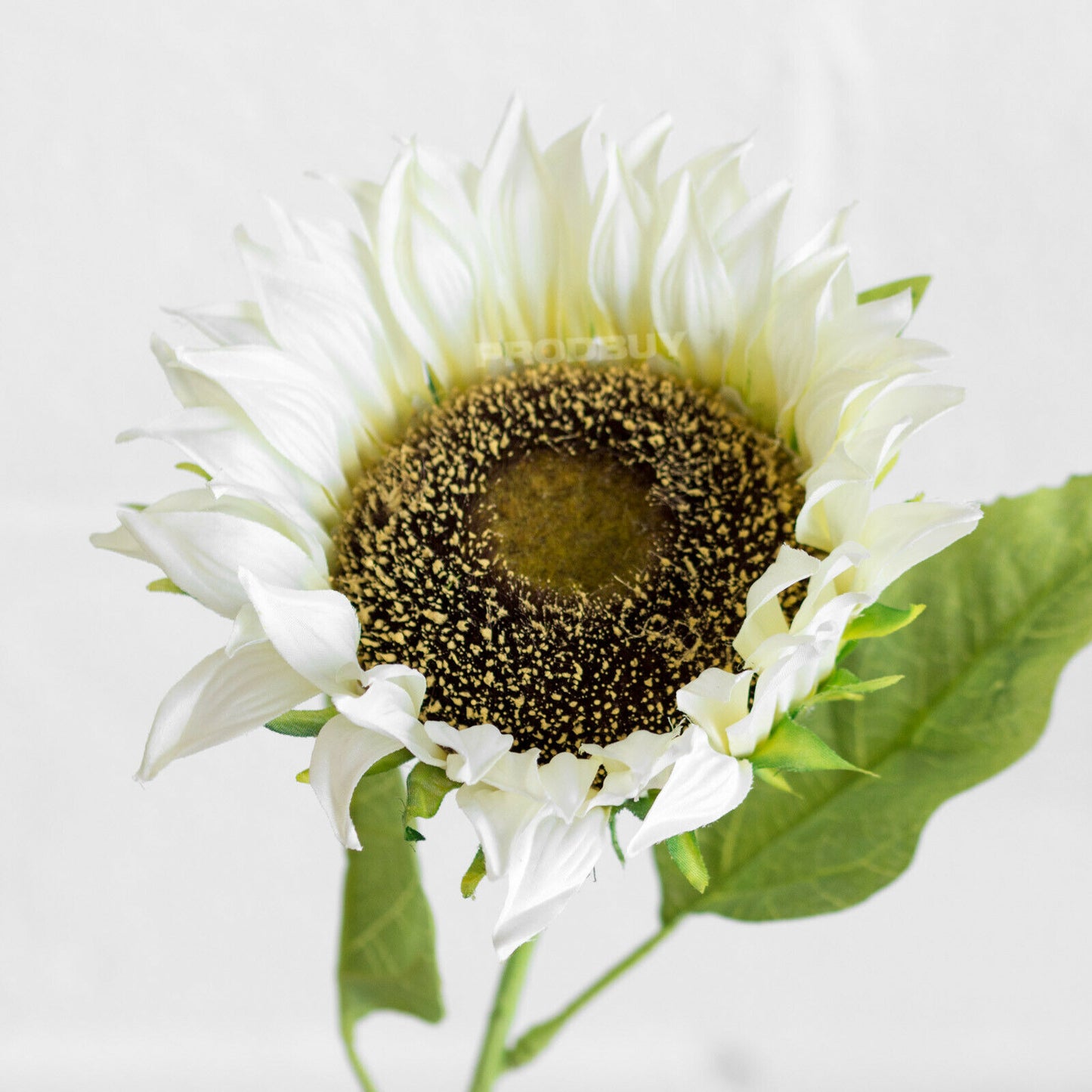 72.5cm Artificial Sunflower off White Head Indoor Flowers