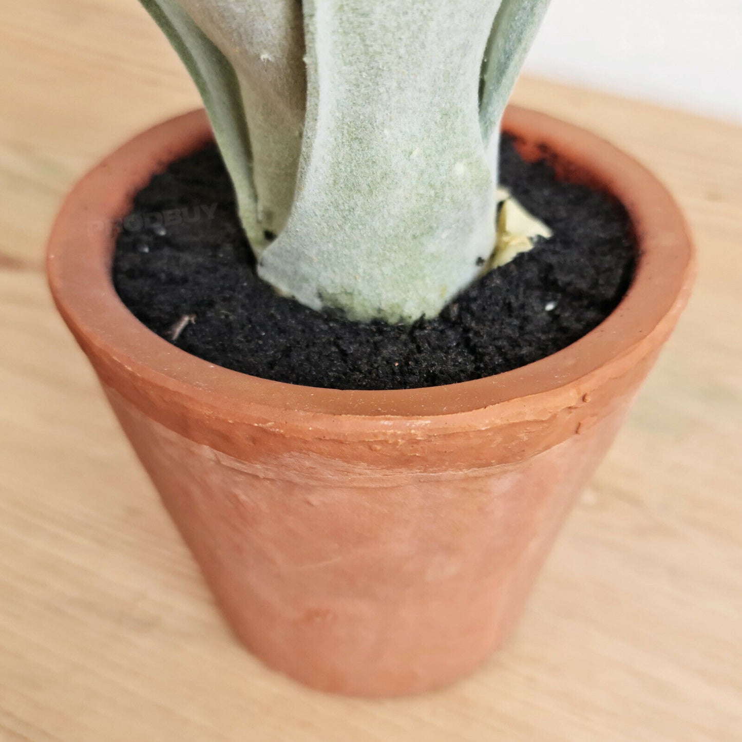 Artificial Succulent House Plant In Terracotta Pot