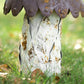 Set of 3 Large Metal Mushroom Garden Ornaments