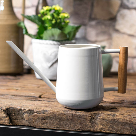 Small Vintage Metal Stone Indoor Watering Can