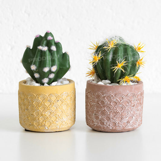 Set of 2 Small Artificial Cactus Succulents In Pots