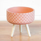 Wide 18cm Terracotta Plant Pot with Three Legs