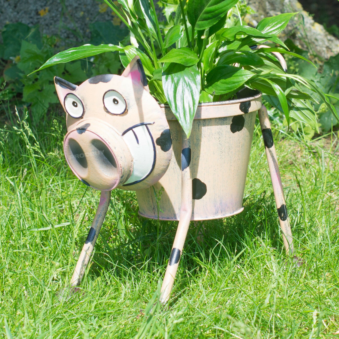 Nodding Pig Garden Planter with Pot Ornament