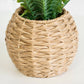 Artificial Green Fern In Wicker Pot 30cm