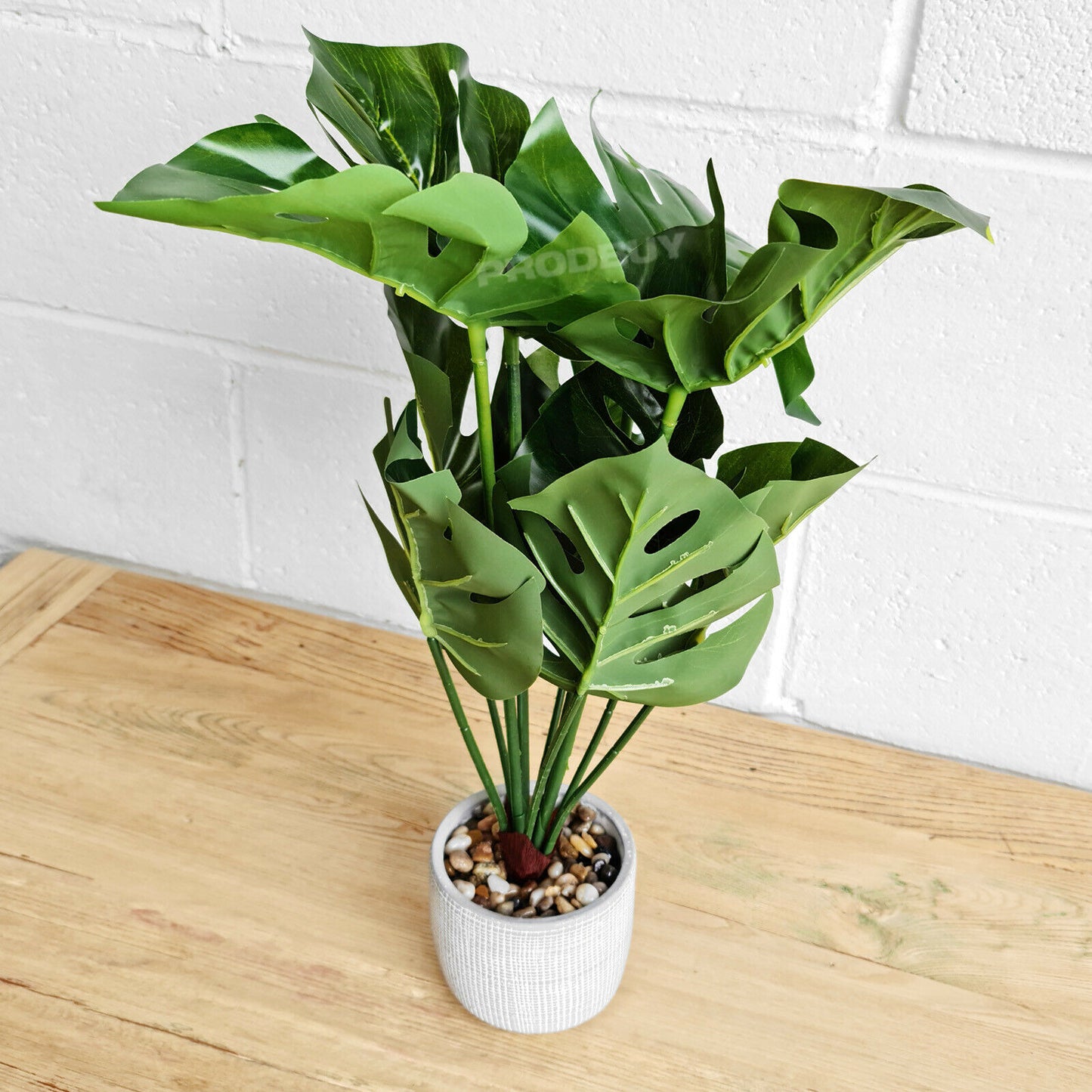 Large 50cm Artificial Cheese Leaf Indoor Plant & Pot