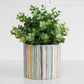 Colour Stripes Medium 13cm Plant Pot