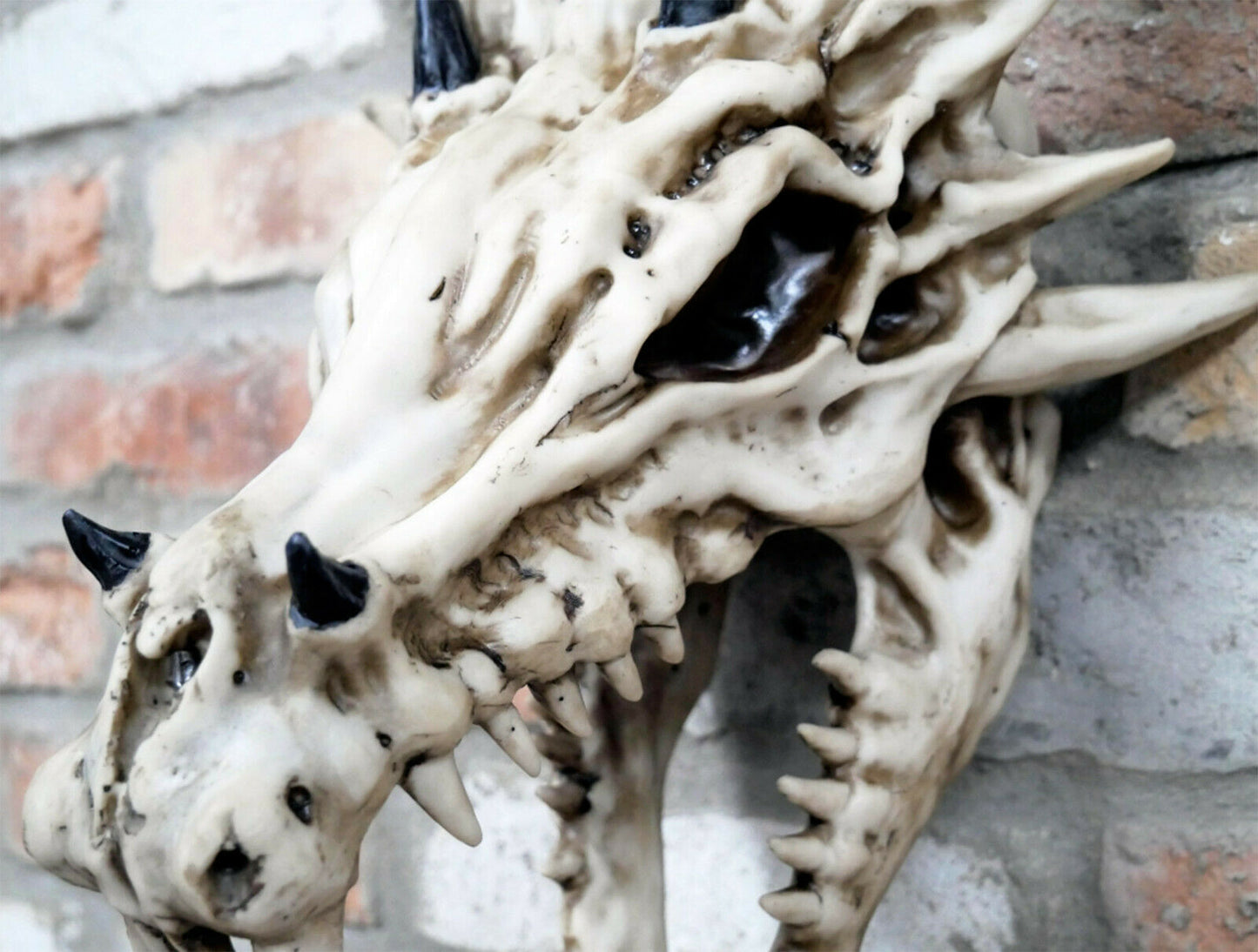 Dragon Skull Ornament 37cm Tall Wall Mounted Head