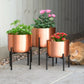 Set of 3 Large Brushed Copper Planters On Stands