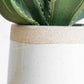 Artificial Aloe Vera House Plant In Ceramic Pot