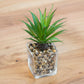 Set of 3 Artificial Succulents in Glass Jars