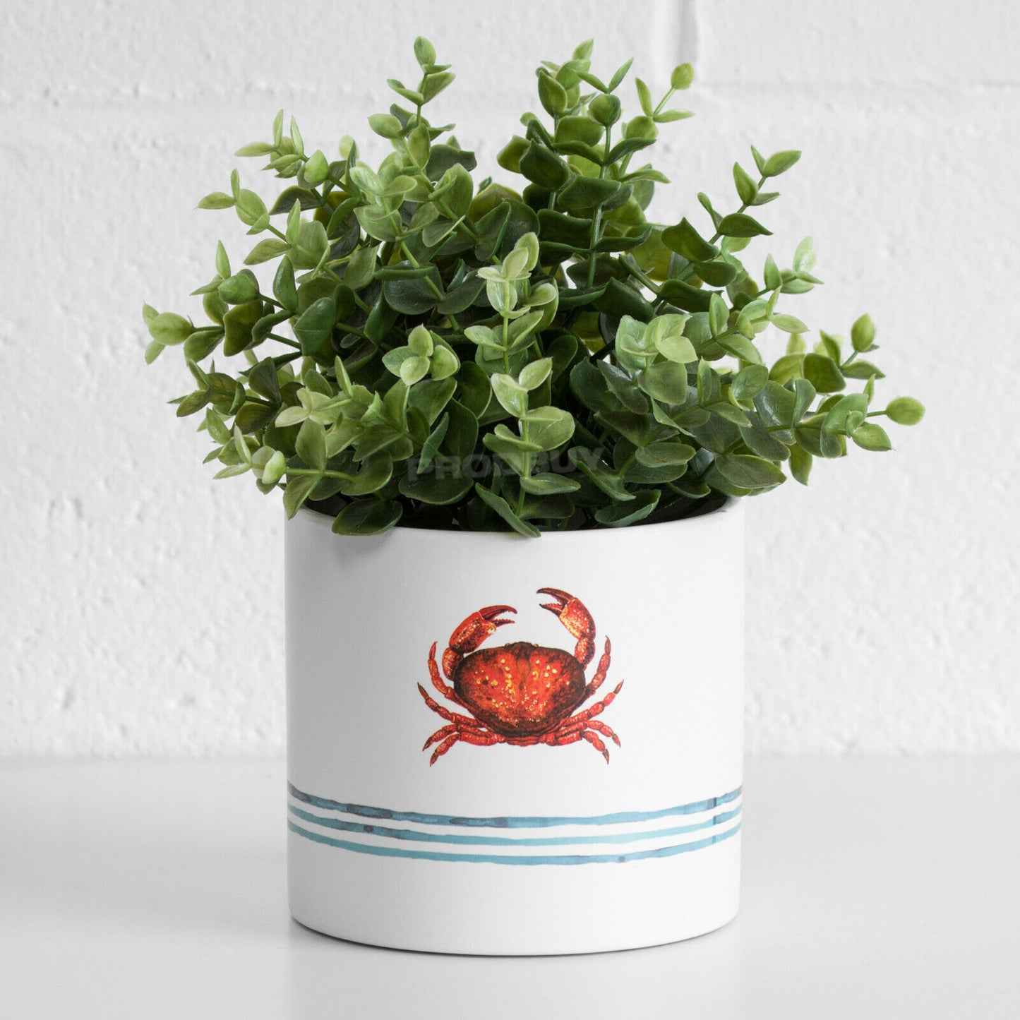 White Nautical Round Indoor Ceramic House Plant Pot