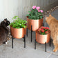 Set of 3 Large Brushed Copper Planters On Stands