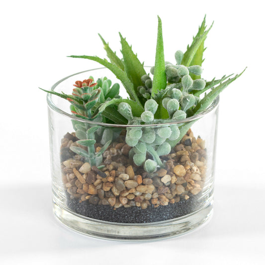 Small 11cm Artificial Succulent In Glass Pot