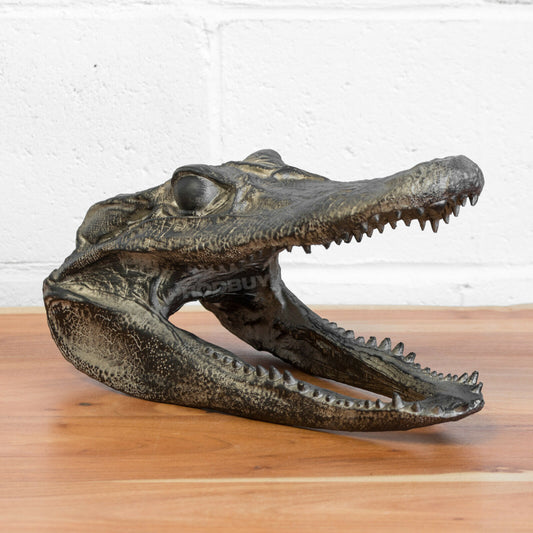 Crocodile Head Decorative Ornament 39cm Long