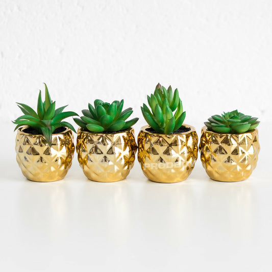 Set of 4 Artificial Succulents In Gold Pots