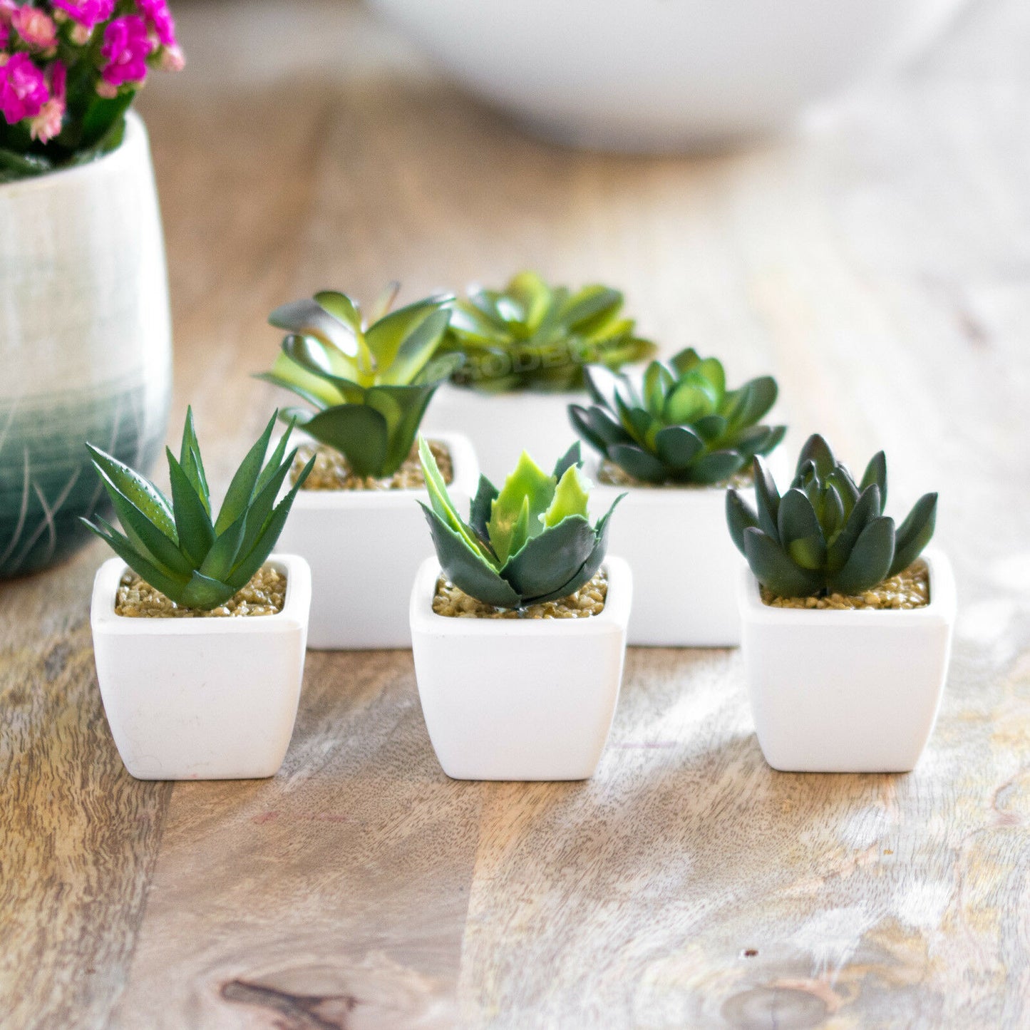 Set of 6 Miniature Artificial Indoor House Office Plants in Pots