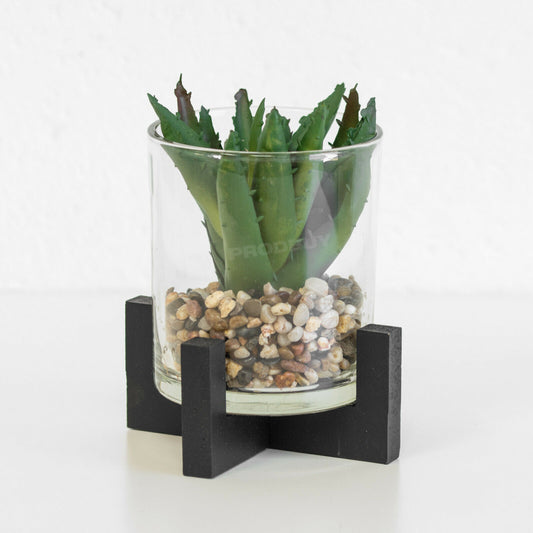Small Artificial Cactus Succulent In Stand & Glass Pot