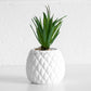 Artificial Succulent In White Ceramic Pineapple Pot